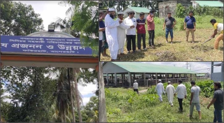 মহিষ প্রজনন ও উন্নয়ন খামারে ২১ মহিষের মৃত্যু নিয়ে ধোঁয়াশা